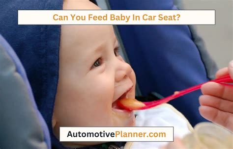 Can You Feed Baby Bottle in Car Seat? And Why Do Cats Always Land on Their Feet?