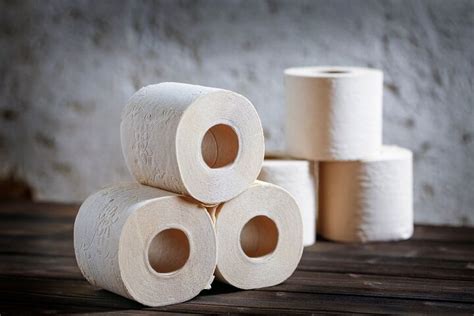 Does Bamboo Toilet Paper Block Drains?