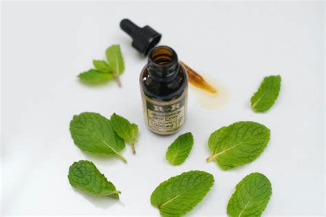 How to Make Peppermint Spray: And Why It Might Just Be the Secret to Unlocking Your Inner Unicorn