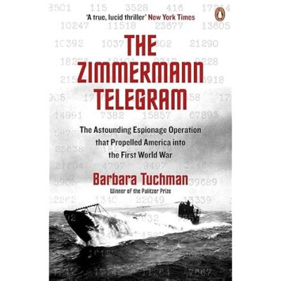 The Zimmerman Telegram: A Diplomatic Blunder that Propelled America into World War I