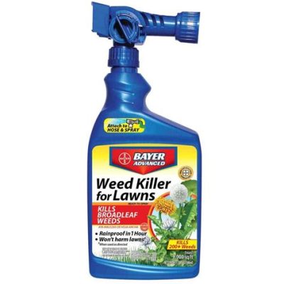 When to Spray for Weeds: A Symphony of Chaos and Order in the Garden